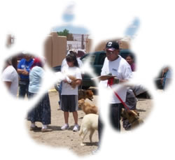 Navajo Nation Puppy Adoption Program